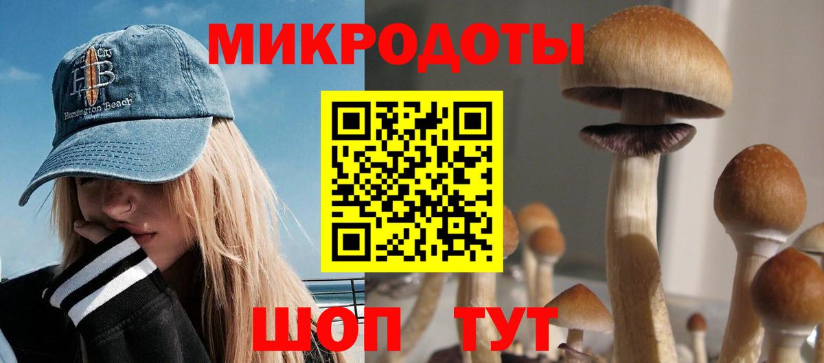 Галлюциногенные грибы Psilocybine cubensis  Вход с VPN  Карачаевск  Псилоцибиновые грибы Psilocybe 